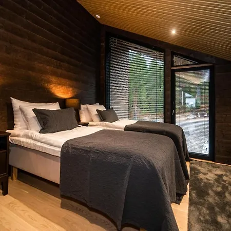 Vakantiehuis Voimapolku 9 A1