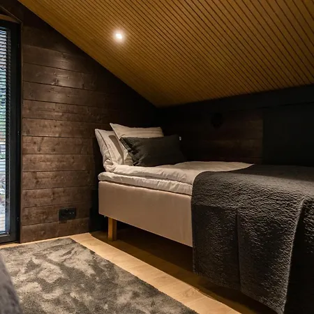 Vakantiehuis Voimapolku 9 A1 *